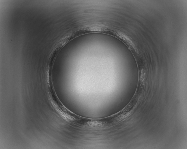 X0000073710589200608241445