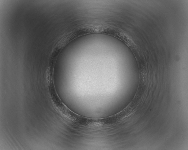 X0000073710594200608241445