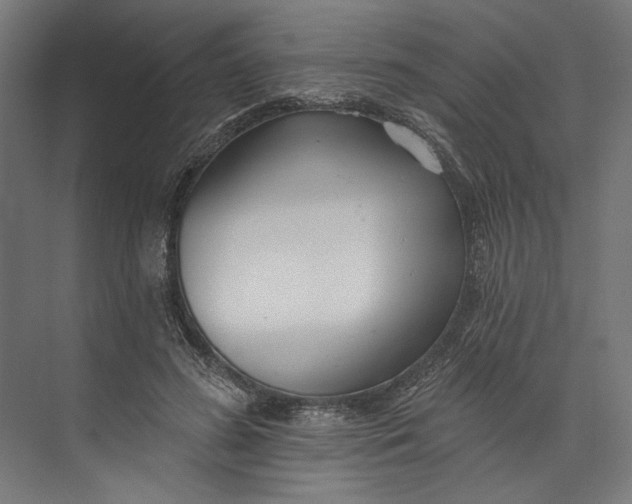 X0000073710596200608241445