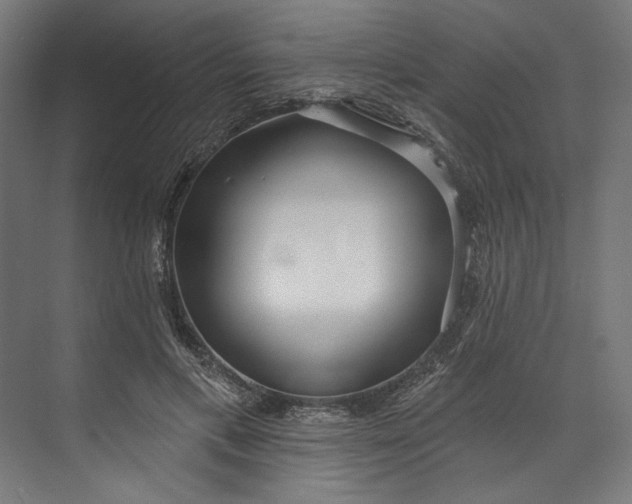 X0000073710597200608241445