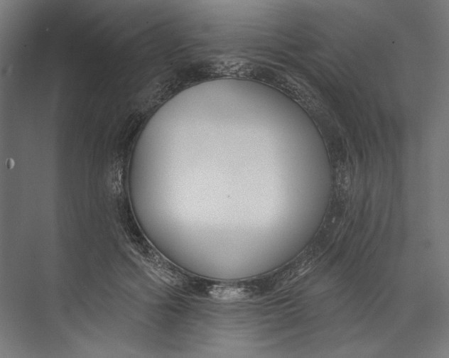 X0000073710602200608241445