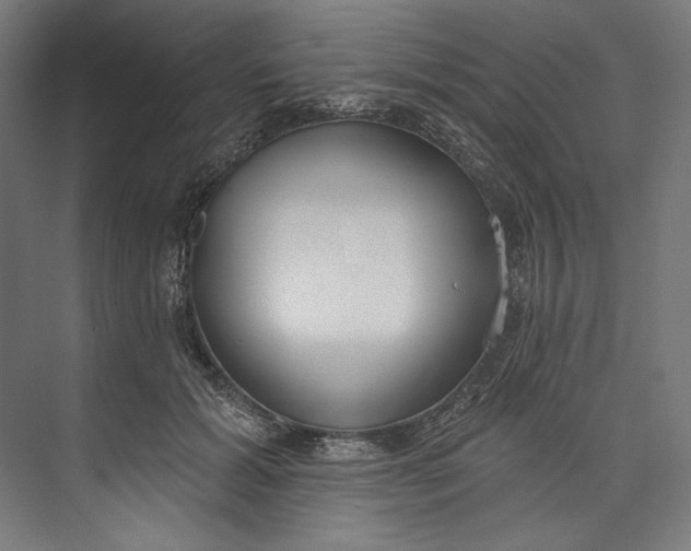 X0000073710605200608241445