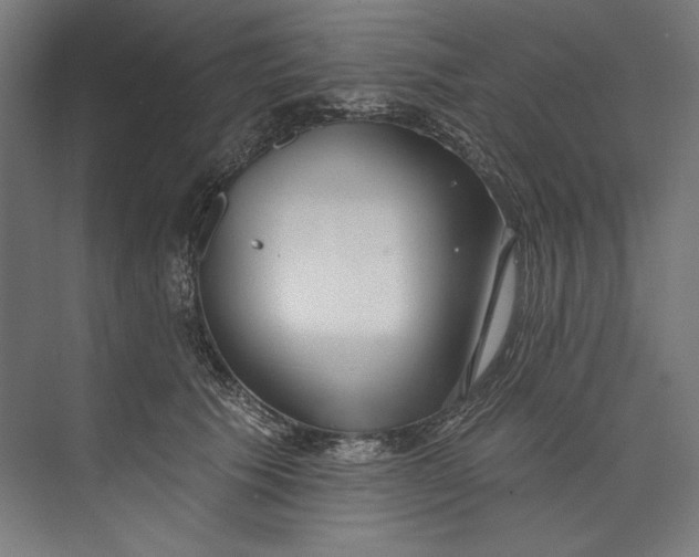 X0000073710609200608241445