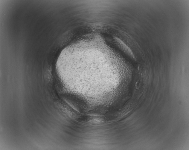 X0000073710610200608241445