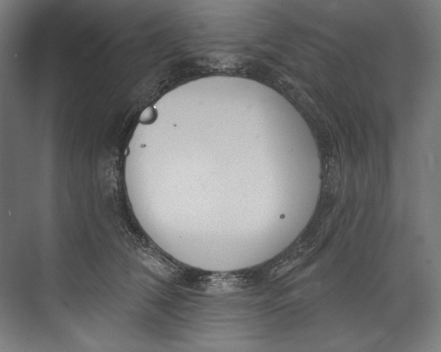 X0000073710612200608241445