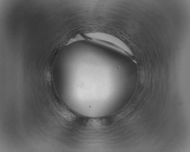 X0000073710613200608241445