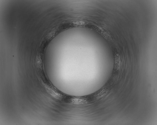 X0000073710614200608241445