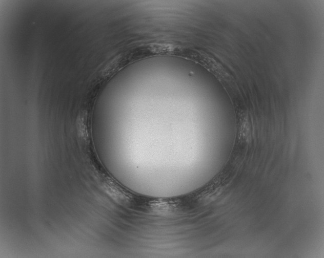 X0000073710616200608241445