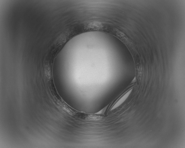 X0000073710617200608241445