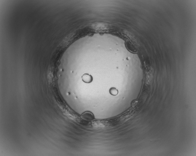 X0000073710618200608241445