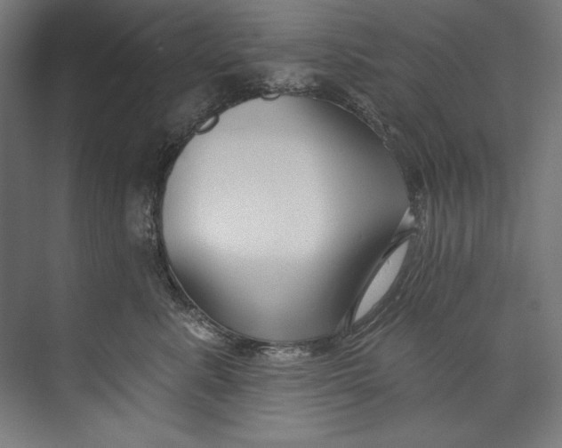 X0000073710619200608241445