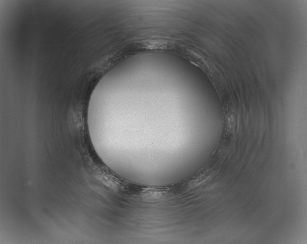 X0000073710620200608241444