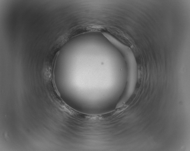 X0000073710621200608241444