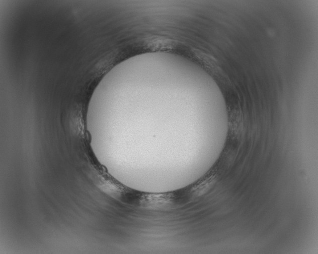 X0000073710622200608241444