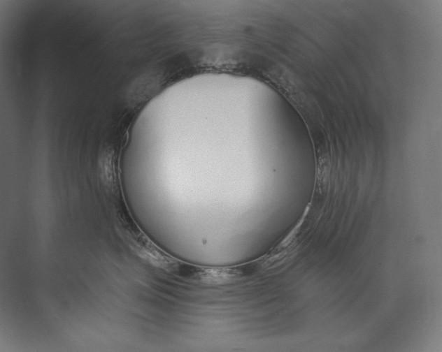 X0000073710623200608241444