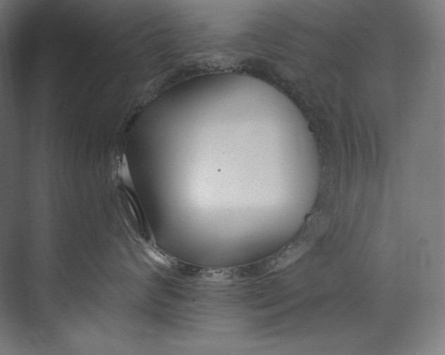 X0000073710624200608241444