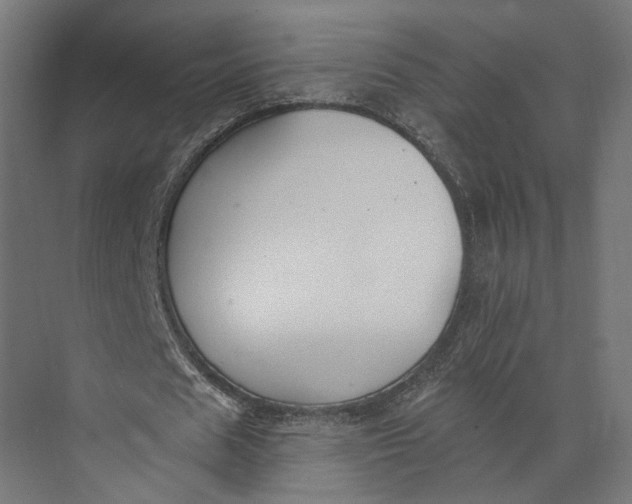 X0000073710625200608241444