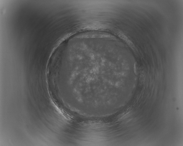 X0000073710626200608241444