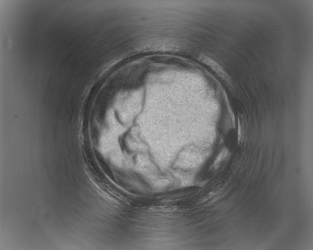 X0000073710627200608241444