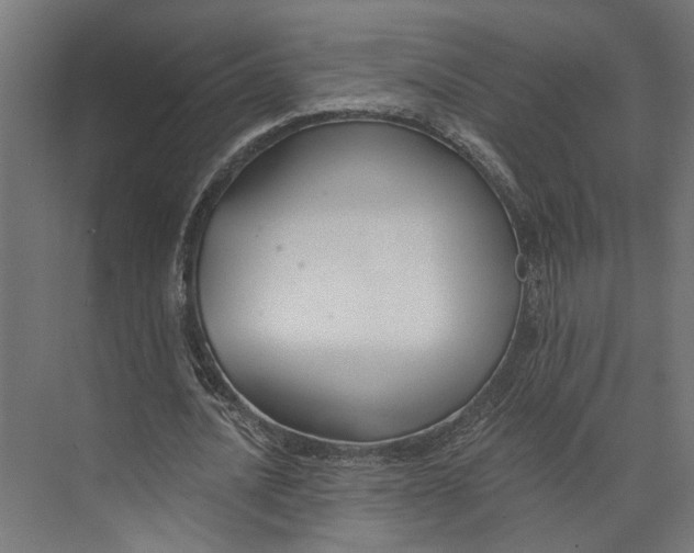 X0000073710628200608241444