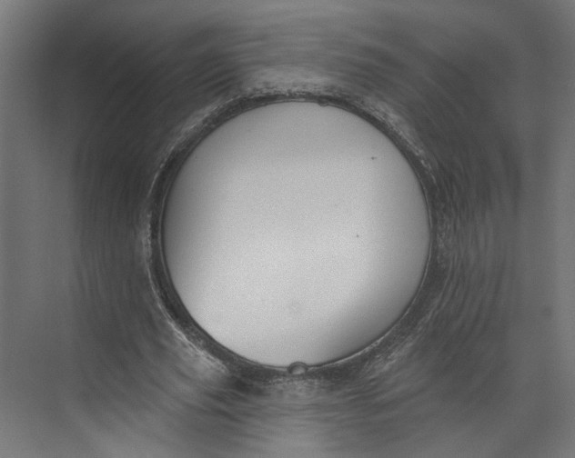 X0000073710629200608241444