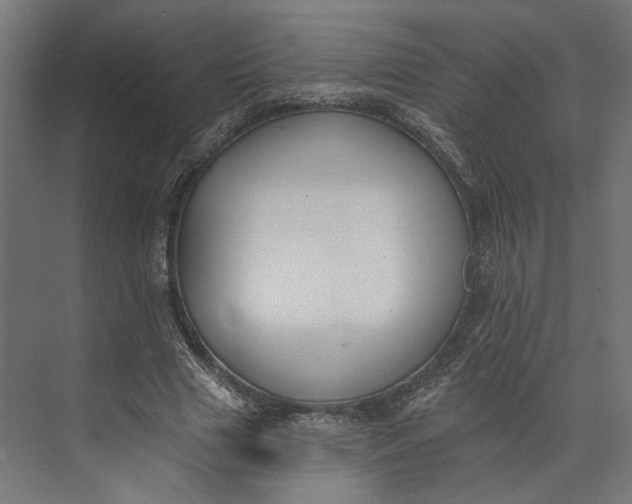 X0000073710633200608241444