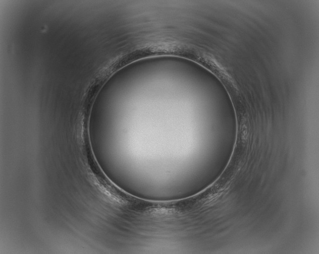 X0000073710637200608241444