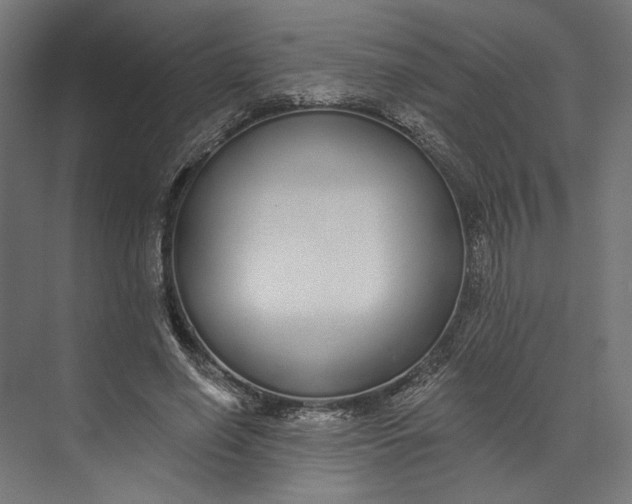 X0000073710638200608241444