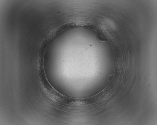 X0000073710639200608241444