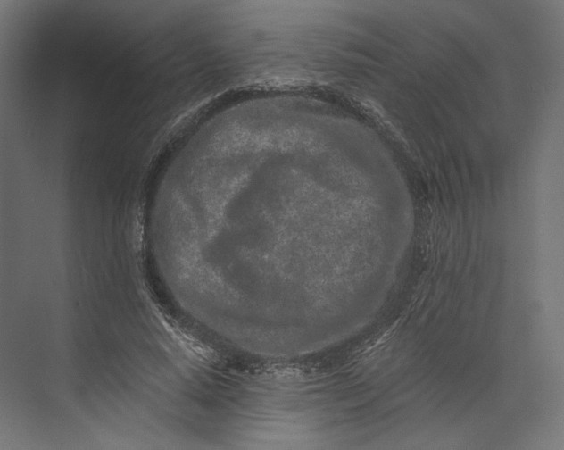 X0000073710640200608241444