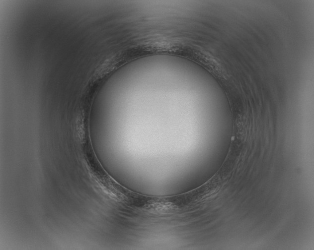 X0000073710642200608241444