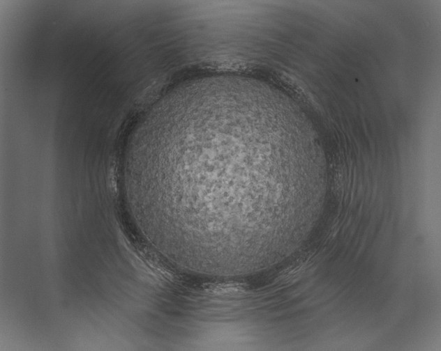 X0000073710643200608241444