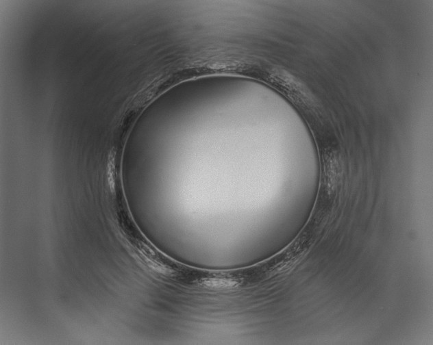 X0000073710644200608241444