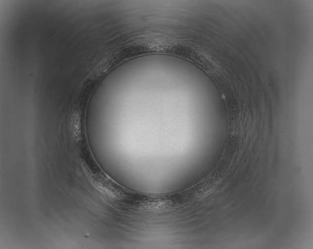 X0000073710646200608241444