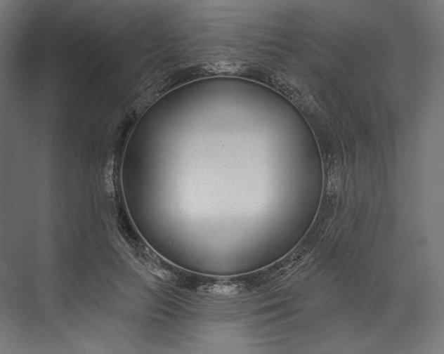 X0000073710647200608241444