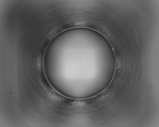 X0000073710648200608241444