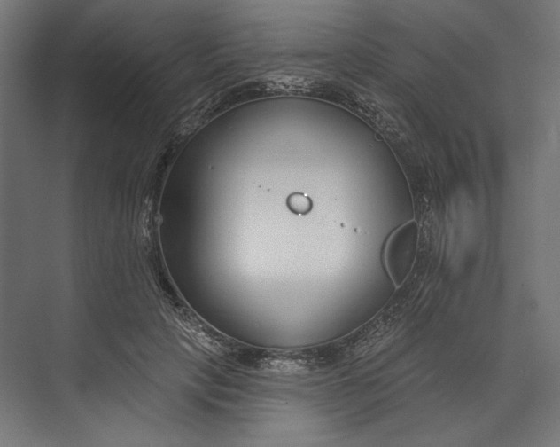 X0000073710649200608241444