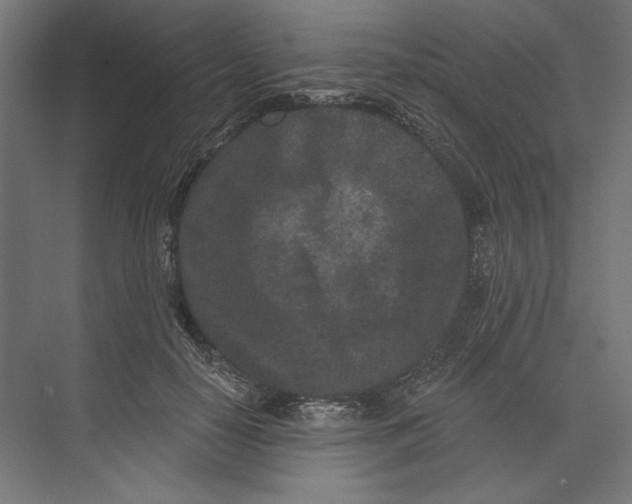 X0000073710650200608241444