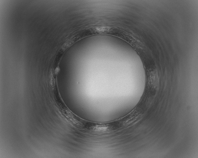 X0000073710651200608241444