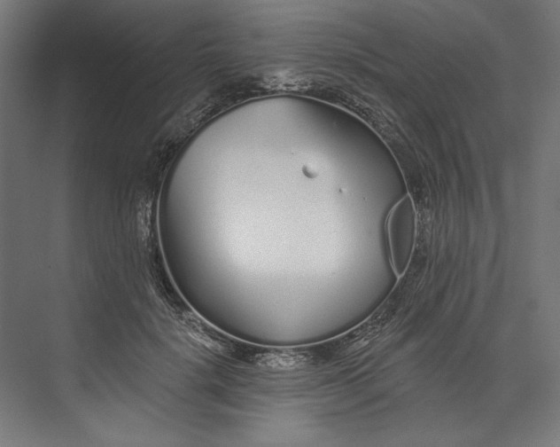 X0000073710652200608241444