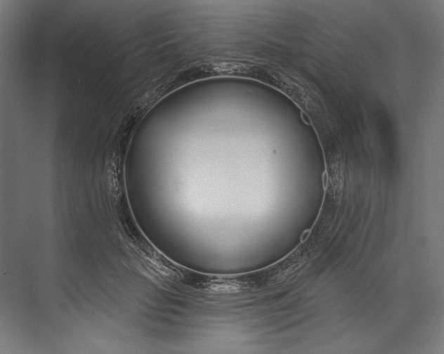 X0000073710653200608241444