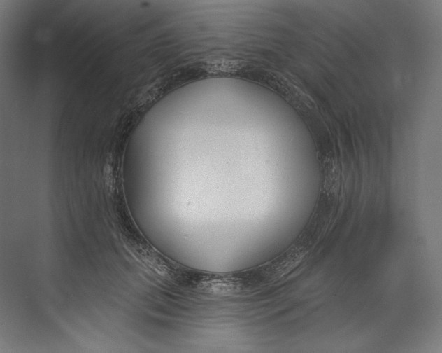 X0000073710655200608241444