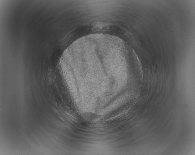 X0000073710659200608241444