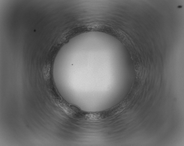 X0000073710660200608241444