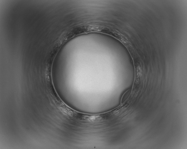 X0000073710663200608241444