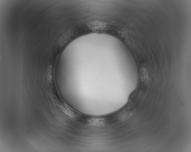 X0000073710664200608241444