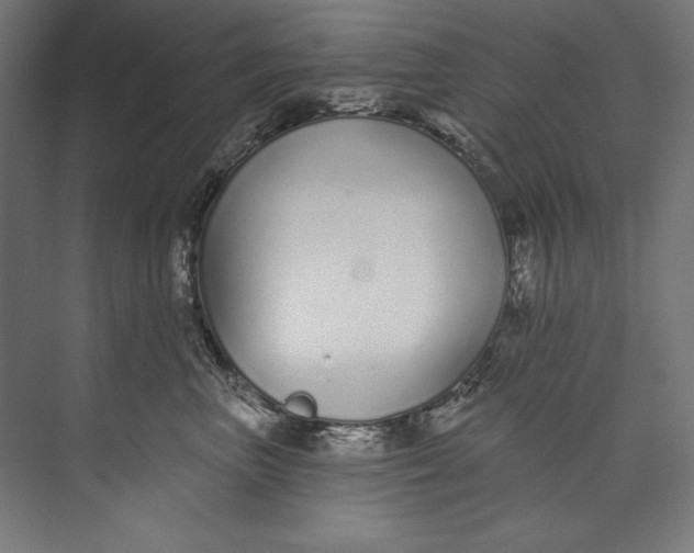 X0000073710667200608241444