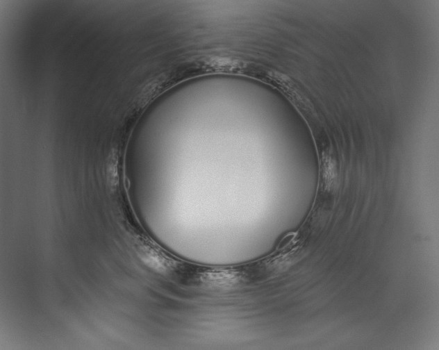 X0000073710668200608241444