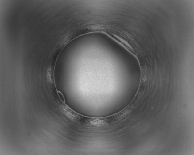 X0000073710669200608241444