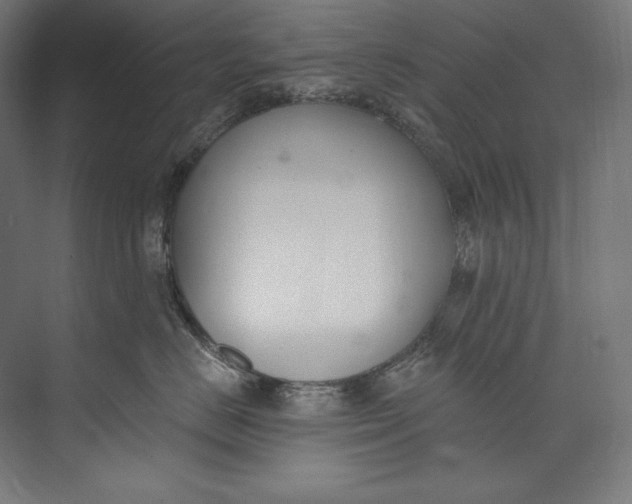 X0000073710670200608241444